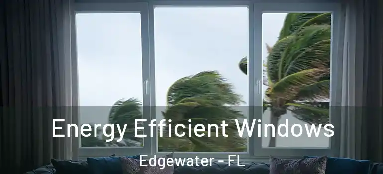 Energy Efficient Windows Edgewater - FL