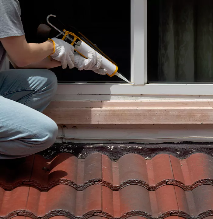 Roof Window Services in Edgewater, Florida