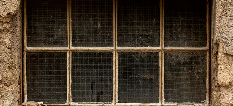 Traditional Double Front Doors in Edgewater, FL