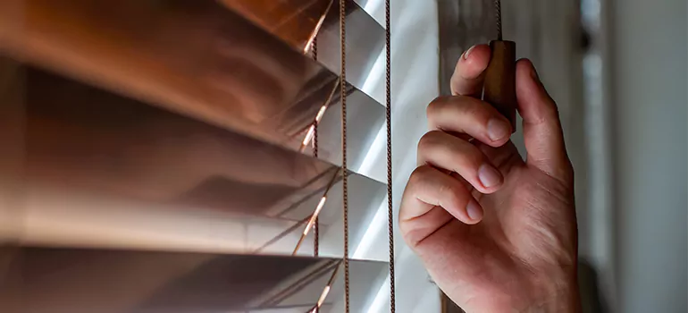 Double Roller Blinds in Edgewater, FL