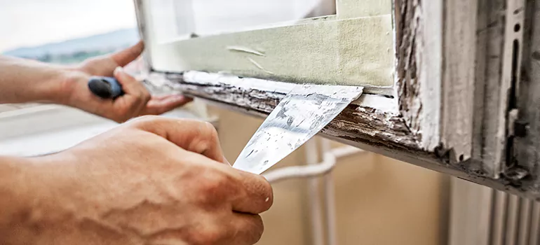 Exterior Window Frame Repair in Edgewater, FL