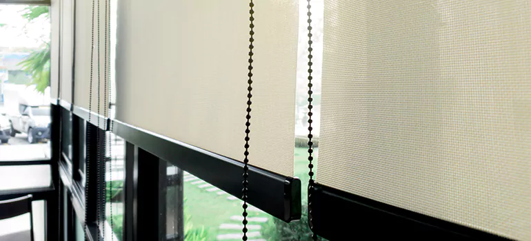 Blackout Window Shades in Edgewater, FL