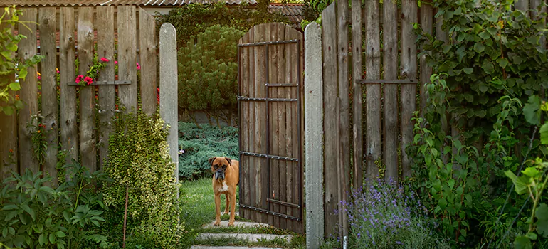 Winter Garden Garage Door Repair in Edgewater,[location field=state]