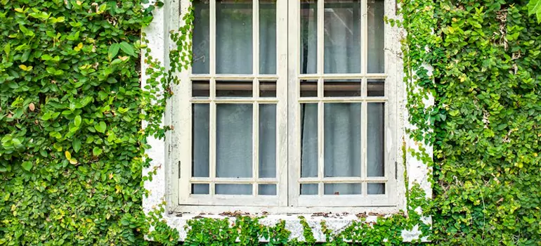 Garden Window Repair Near Me in Edgewater, FL