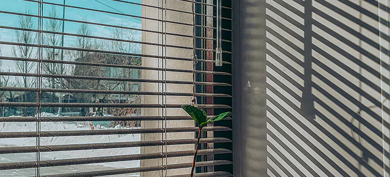 Commercial Window Blinds in Edgewater, FL