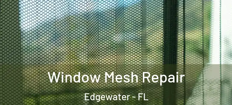 Window Mesh Repair Edgewater - FL