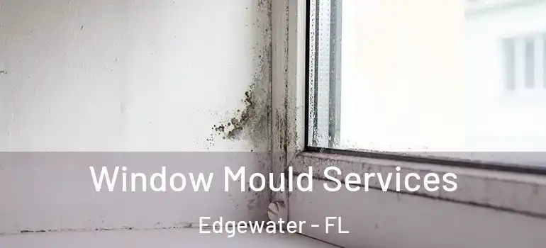Window Mould Services Edgewater - FL